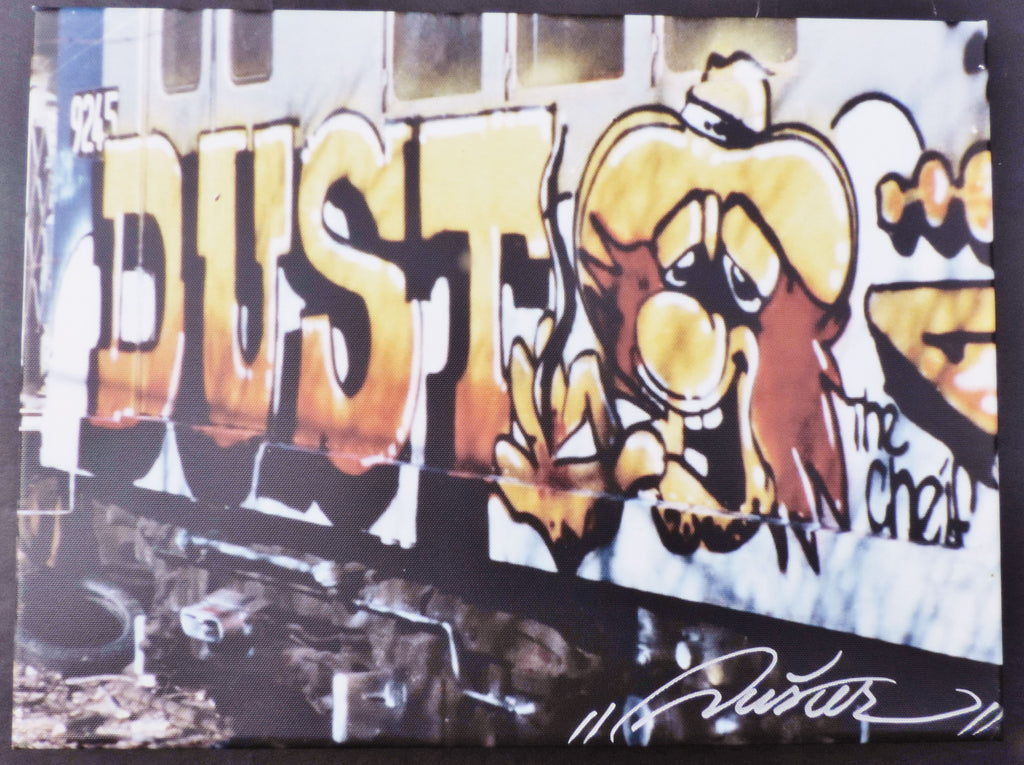 Digital Print on Stretched Canvas -- Duster UA 003